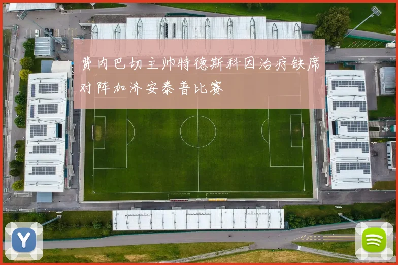 费内巴切主帅特德斯科因治疗缺席对阵加济安泰普比赛